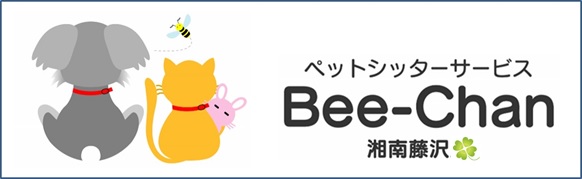 藤沢市のペットシッターサービス | Bee-Chan 湘南藤沢店